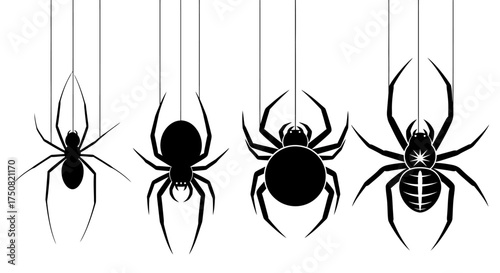 Set of black spider silhouettes hanging from web threads. A vector collection of various arachnid icons isolated on a white background for design