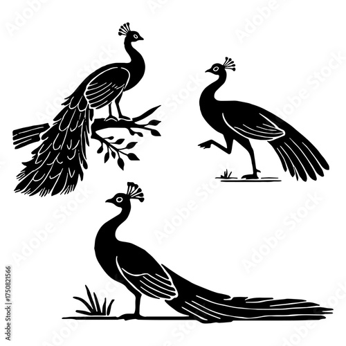 Set of Majestic Peacock Silhouette Designs for Luxury Branding and Indian Culture Flat Vector Illustration