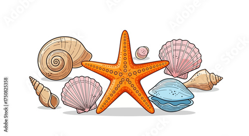 Collection of Seashells and Starfish on White Background.