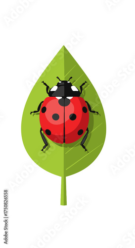 A bright red ladybug with black spots rests on a vibrant green leaf symbolizing nature and good luck.