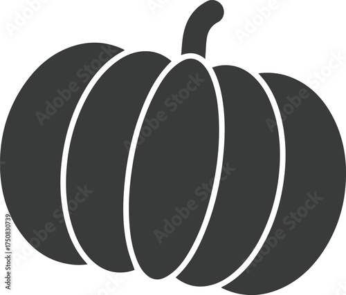 Dark gray pumpkin with stem on white background squash gourd