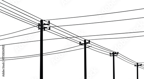 Silhouette of Utility Poles and Power Lines with Birds Perched on Wires Isolated on White Background for Infrastructure Design Projects