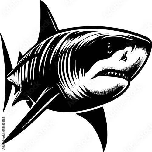 Ocean Predator's Vigil: A stark monochrome depiction of a great shark, its predatory gaze fixed, embodying power and aquatic dominance.