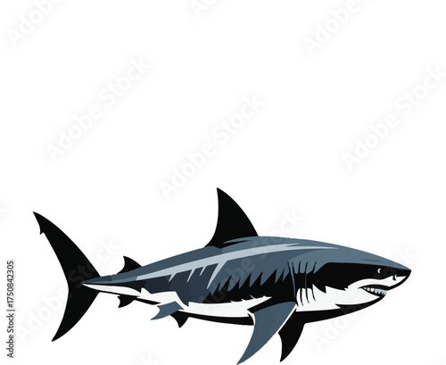 great white shark vector illustration isolated on white background