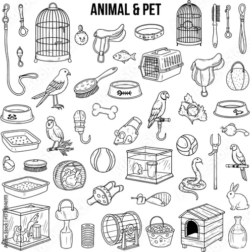 Animal  Pet Doodle Set: Hand-Drawn Illustrations of Pet Supplies and Animals