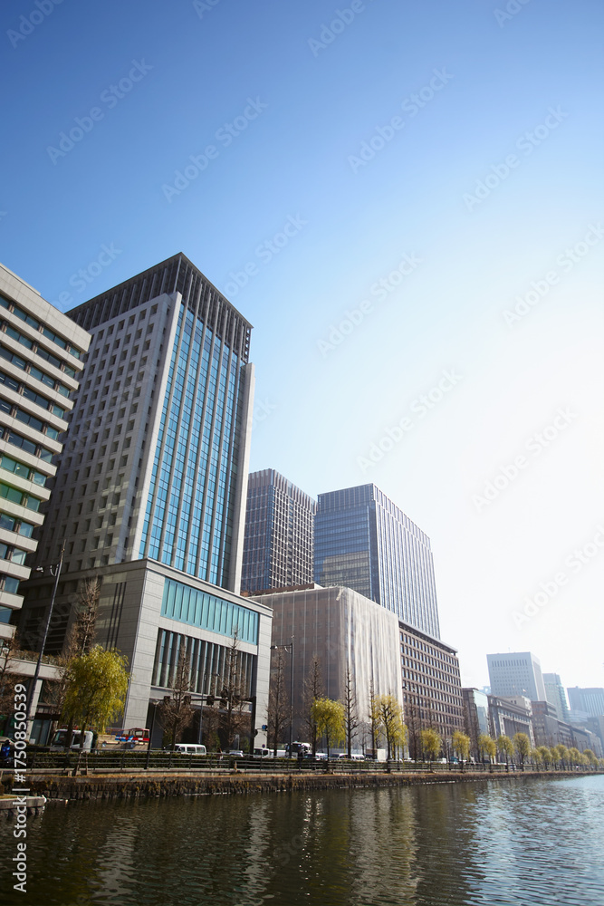 Obraz premium 東京丸の内のビル群