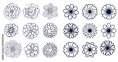 Grunge brush flowers. Scribble ink grunge chamomile flowers icons drawn with markers and crayons