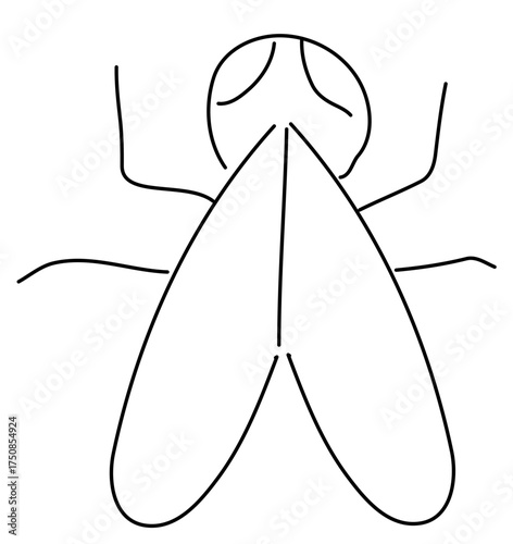 Esbozo de mosca simplista a mano alzada, garabato