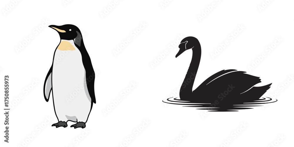 Obraz premium Flat Vector Illustration of Penguin and Black Swan on White Background