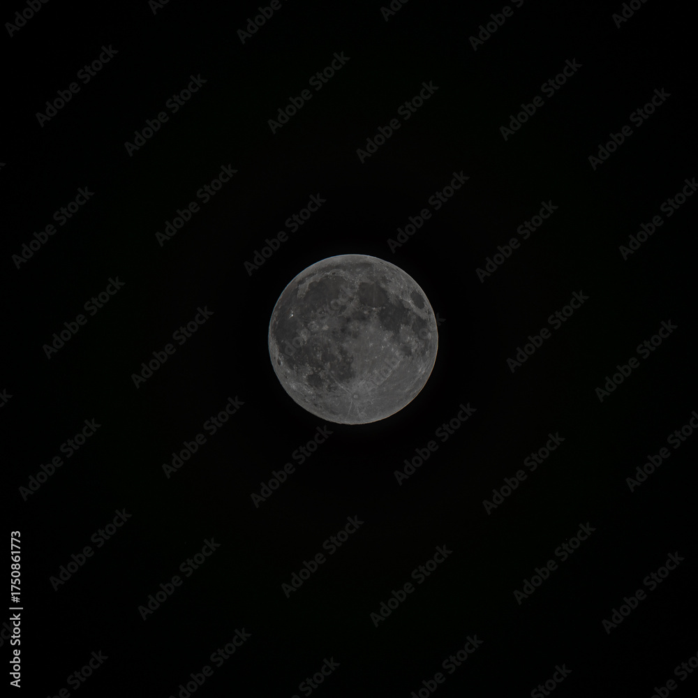 Obraz premium the nearside of the Harvest Supermoon October 2025