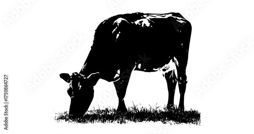 a black and white silhouette of a cow grazing in grassbend, black, calf, cattle, cow, eat, grass, graze, milk, photo, profile, stand, white 