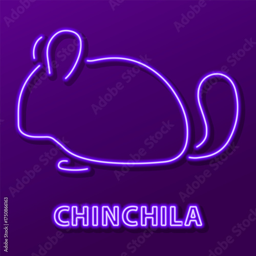 chinchila neon sign, modern glowing banner design, colorful modern design trends on black background. Vector illustration.
