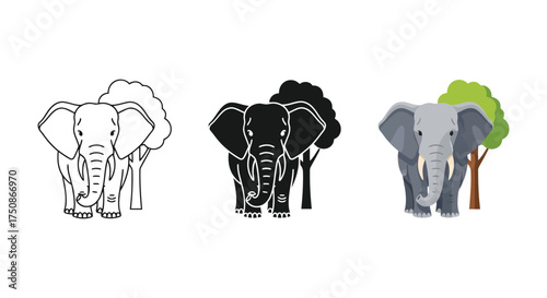 Elephant vector illustration in outline, silhouette, and color