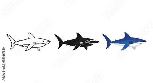 Vector silhouette of a shark flying in the sky like a business aircraft