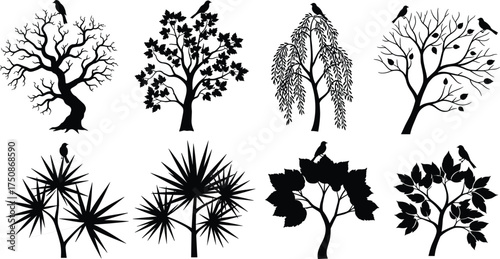 Stylized tree silhouettes with birds, diverse foliage shapes, artistic forest design, botanical illustration, tranquil nature scene, wildlife harmony concept