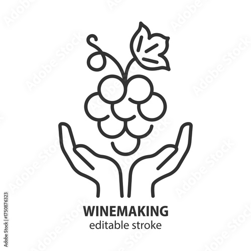 Grape in hands line icon. Winemaking vector illustration. Editable stroke.