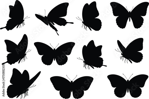Butterfly silhouettes, insect wings, flying bugs, nature vector, black outline, symmetrical design, entomology art, decorative shapes, wildlife icons, graphic elements