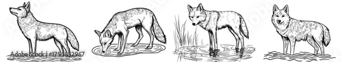 A howling wolf is depicted in a black and white silhouette standing on a surface shrouded in shadows
