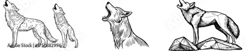 A howling wolf's silhouette is displayed against a white backdrop, highlighting its wild and majestic characteristics