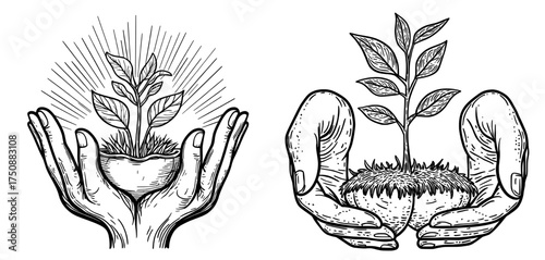 Hands shaped into a heart surround a thriving plant, representing care and the natural world