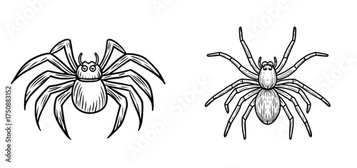 A spider's black silhouette, complete with intricate legs and body, is frequently utilized in Halloween themes