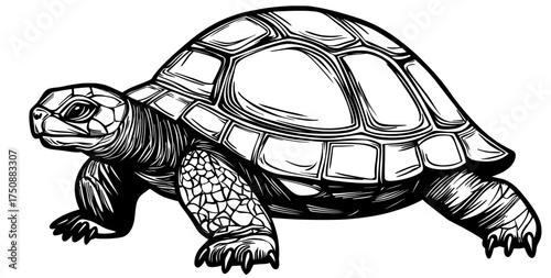 The turtle is depicted in a detailed black and white silhouette illustration, emphasizing its shell and head features