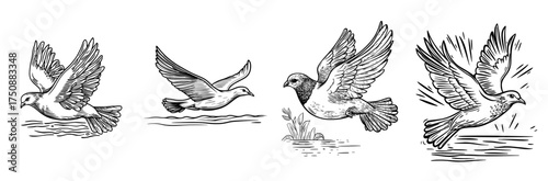 A bird in flight is captured in a black silhouette over water, with its wings elegantly outstretched