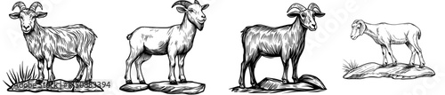 A goat with horns is standing on rocky terrain in a natural environment, seen in silhouette