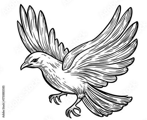 A mythical phoenix bird with outstretched wings is represented by a black silhouette, embodying rebirth and power