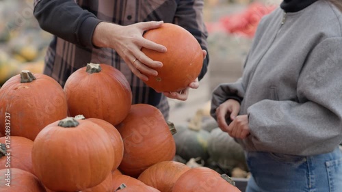 A couple selects a ripe orange pumpkin from a large wooden crate at an outdoor farmers market. Seasonal autumn harvest shopping for Halloween or Thanksgiving holiday celebration and decoration.