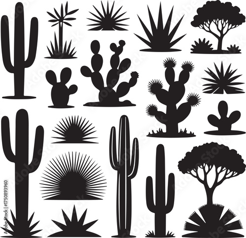 Cactus Collection Monochrome Style Desert Plants Xerophyte Nature Flora Silhouette