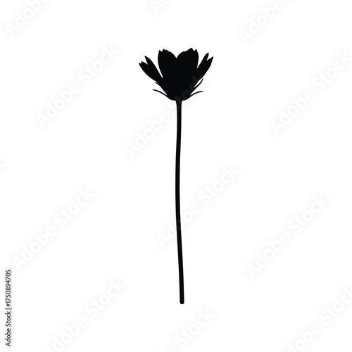 Silhouette of a Flower black white isolated stem floral nature plant botanical single bloom blossom outline vector graphic design
