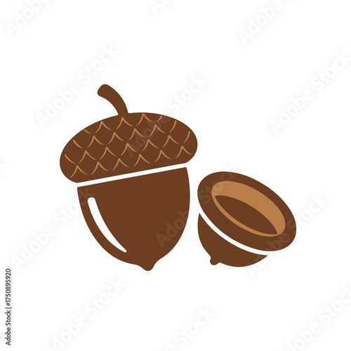 Two brown acorns, one partially opened, on white background, clean graphic style