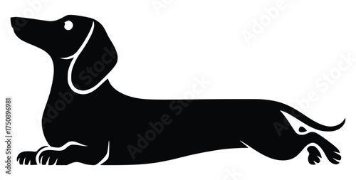 Dachshund Silhouette: A minimalist silhouette of a dachshund in repose, its long body and distinctive features elegantly captured against a clean backdrop. 