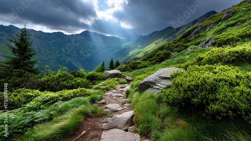 Hiking trail through alpine mountains in the summer