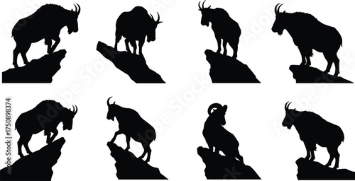 "Mountain goat silhouettes standing on rocky ledges in rugged terrain wildlife vector illustration, alpine animals nature drawing for stock"