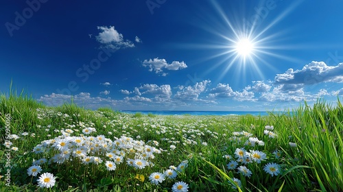 A summer landscape with green grass, blue sky, white clouds, and colorful wildflowers in a sunny meadow