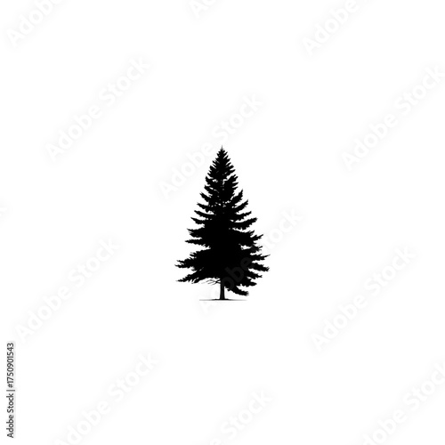 Christmas tree silhouette. This image features a black silhouette of a decorated evergreen tree, symbolizing the holiday spirit and festive celebrations