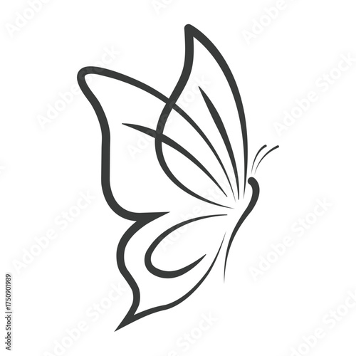 Butterfly Wings Emblem of Transformation and Growth