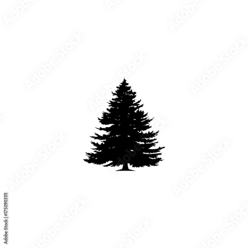 Dark silhouette of Christmas tree isolated on transparent background 