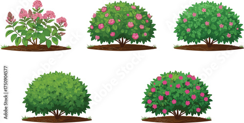 Realistic conifer evergreen pine tree collection isolated on white background for winter forest landscape illustration, nature design and outdoor decoration