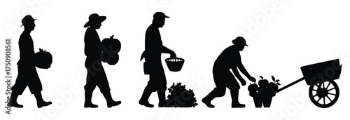 Silhouette of Farmer: Silhouette of farmer harvests pumpkin. It depicts a farmer gathering pumpkins and vegetables using a wheelbarrow in a beautiful field. This image is good for agriculture topic.