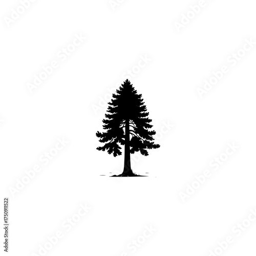 Christmas tree silhouette. This image features a black silhouette of a decorated evergreen tree, symbolizing the holiday spirit and festive celebrations.