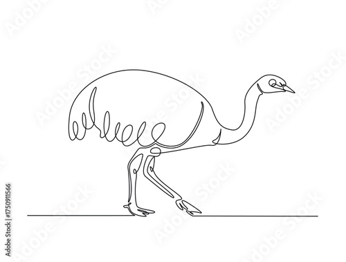 Continuous one line drawing of Ostrich bird. Ostrich bird line art vector illustration. Animal concept design.