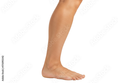 Obraz na płótnie Isolated human leg with bare foot standing on toes, healthy skin on lower body,