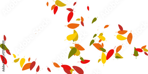 Leaves. Yellow, red, orange, brown, green colors. Scattered autumn leaves. Unusual abstract texture. Vector eps 10.