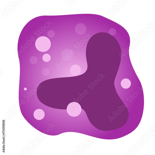 Detailed eosinophil leukocyte illustration for educational medical purposes, showing cell structure and function for scientific study and research