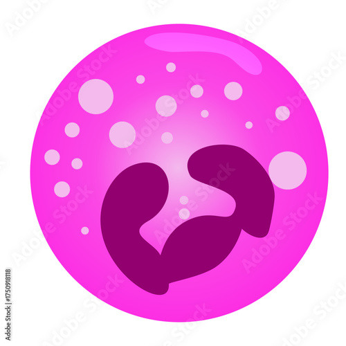 Eosinophil cell illustration for medical education and research, showcasing cell biology in a vibrant, modern style perfect for presentations