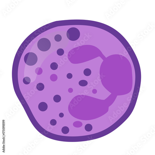 Detailed eosinophil illustration for medical education, showing immune system cell, perfect for healthcare and scientific content about human biology