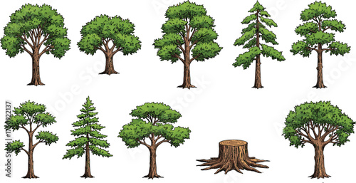 Set of cartoon trees and tree stump with green foliage, natural trunks, and white background for forest vector illustration design.